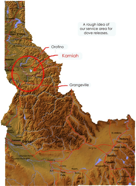 dove release service area